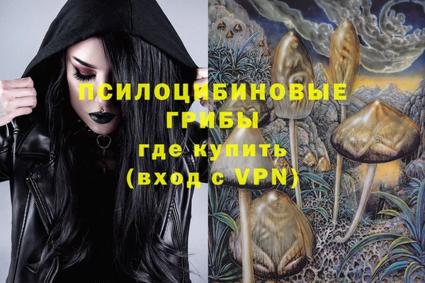 дживик Бугульма