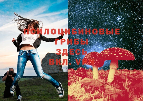 дживик Бугульма