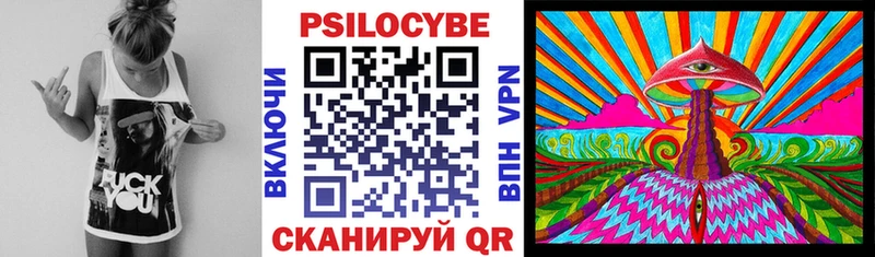 Купить где Крымск Псилоцибиновые грибы GOLDEN TEACHER
